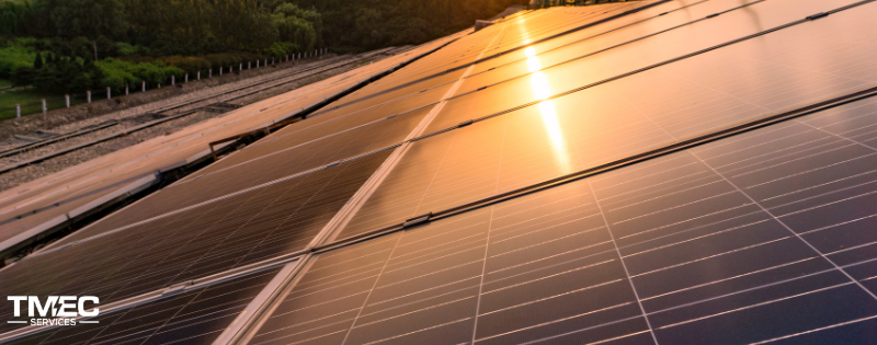 Solar panels glistening under the sun at sunset, symbolizing renewable energy solutions and the benefits of accessing a solar rebates in Australia.